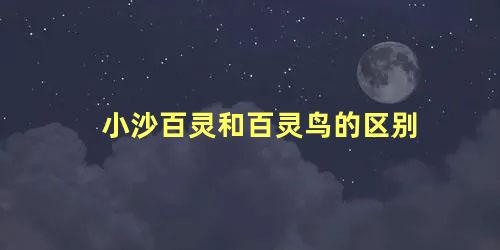 小沙百灵和百灵鸟的区别