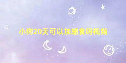 小狗20天可以加辅食吗视频