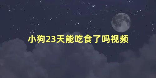 小狗23天能吃食了吗视频