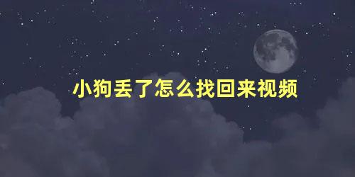 小狗丢了怎么找回来视频