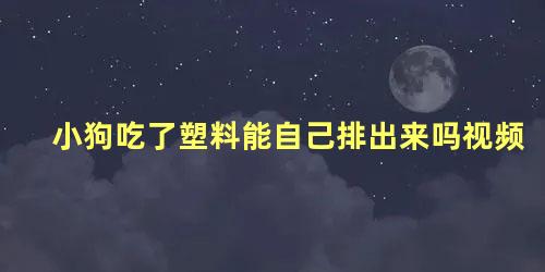 小狗吃了塑料能自己排出来吗视频