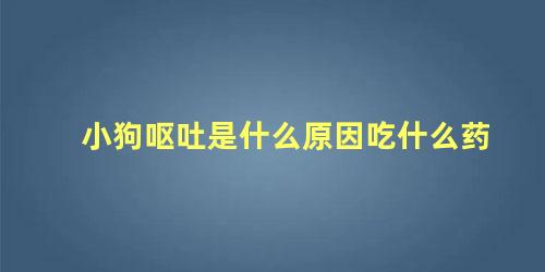 小狗呕吐是什么原因吃什么药