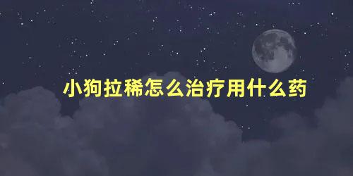 小狗拉稀怎么治疗用什么药