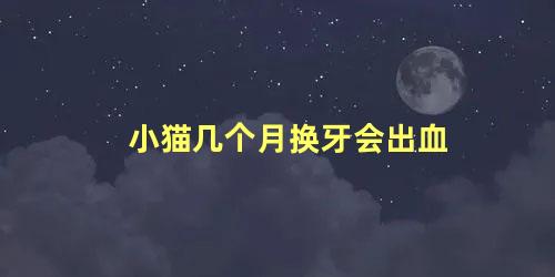 小猫几个月换牙会出血