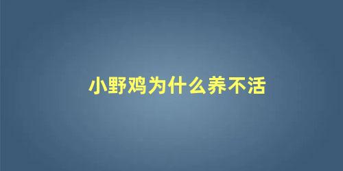 小野鸡为什么养不活