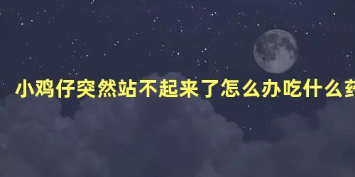 小鸡仔突然站不起来了怎么办吃什么药