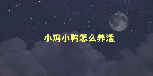 小鸡小鸭怎么养活