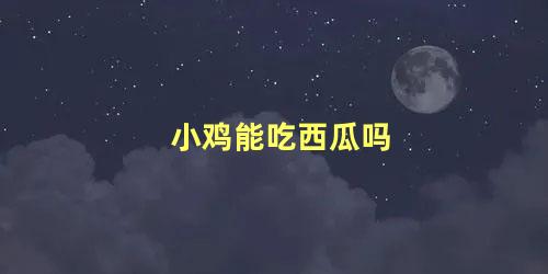 小鸡能吃西瓜吗