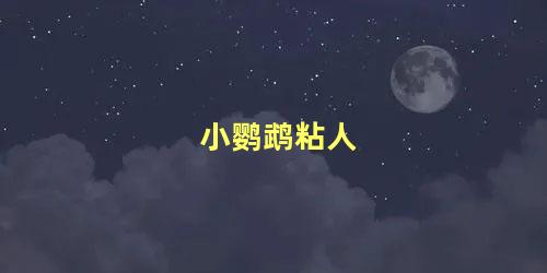 小鹦鹉粘人