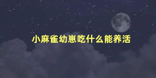 小麻雀幼崽吃什么能养活