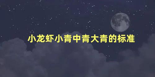 小龙虾小青中青大青的标准