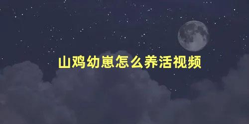 山鸡幼崽怎么养活视频