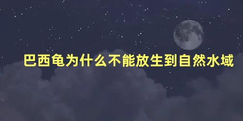 巴西龟为什么不能放生到自然水域