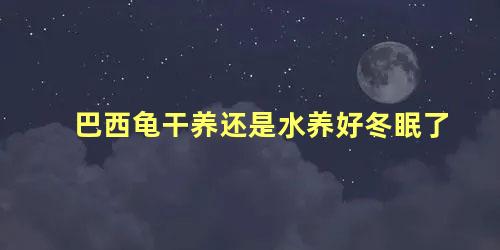 巴西龟干养还是水养好冬眠了