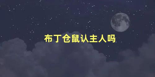 布丁仓鼠认主人吗