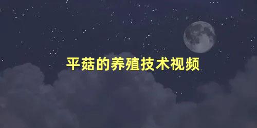 平菇的养殖技术视频