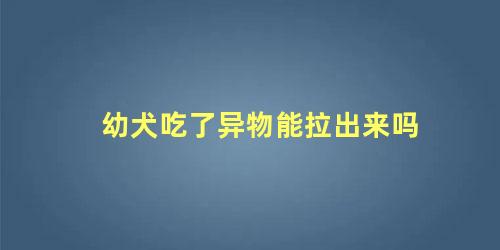 幼犬吃了异物能拉出来吗