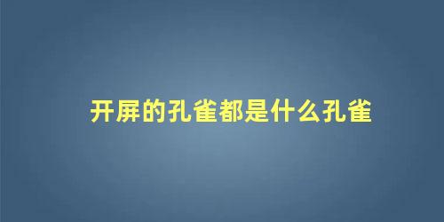 开屏的孔雀都是什么孔雀