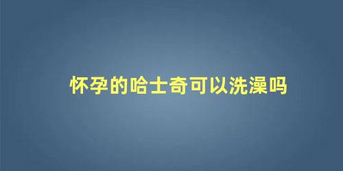 怀孕的哈士奇可以洗澡吗