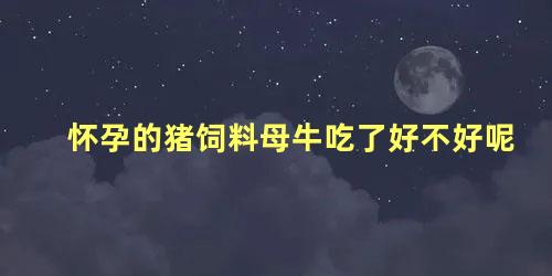 怀孕的猪饲料母牛吃了好不好呢