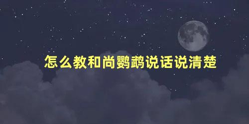 怎么教和尚鹦鹉说话说清楚