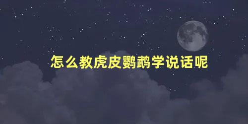 怎么教虎皮鹦鹉学说话呢