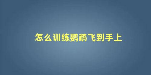 怎么训练鹦鹉飞到手上