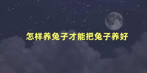 怎样养兔子才能把兔子养好