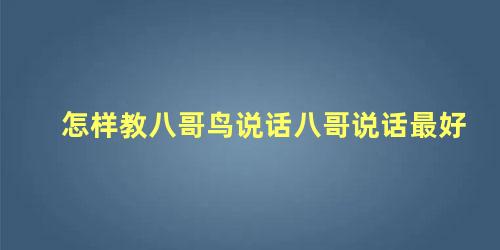 怎样教八哥鸟说话八哥说话最好