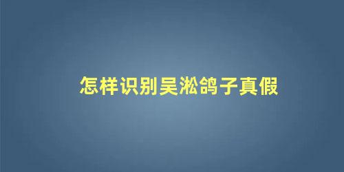 怎样识别吴淞鸽子真假