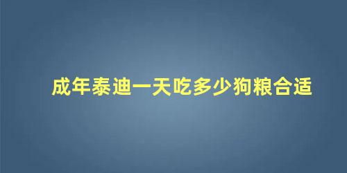 成年泰迪一天吃多少狗粮合适