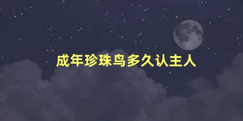 成年珍珠鸟多久认主人