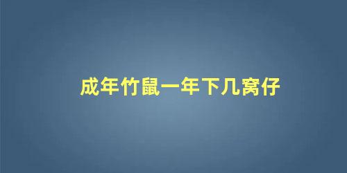 成年竹鼠一年下几窝仔