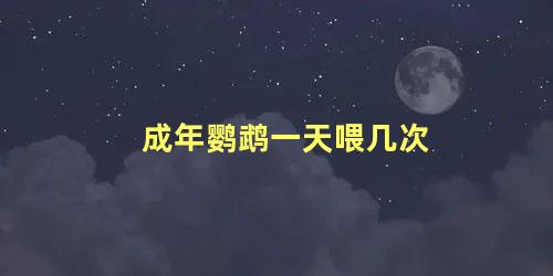 成年鹦鹉一天喂几次