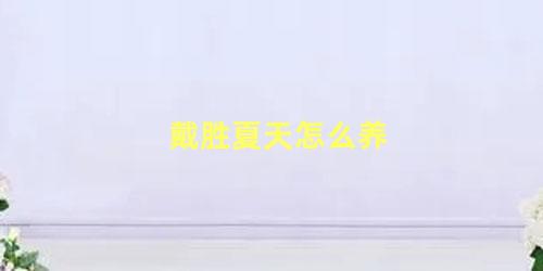 戴胜夏天怎么养