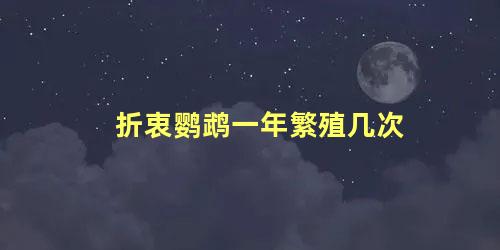 折衷鹦鹉一年繁殖几次