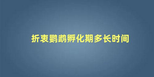 折衷鹦鹉孵化期多长时间