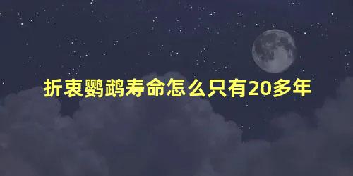 折衷鹦鹉寿命怎么只有20多年