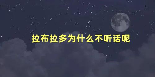 拉布拉多为什么不听话呢