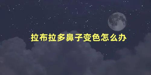 拉布拉多鼻子变色怎么办