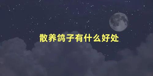 散养鸽子有什么好处