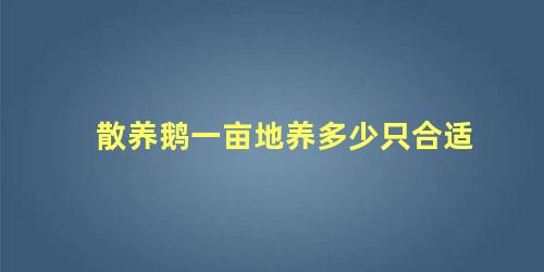 散养鹅一亩地养多少只合适