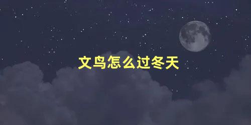 文鸟怎么过冬天