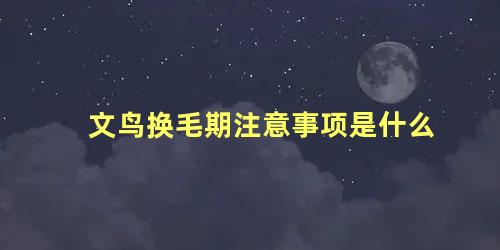 文鸟换毛期注意事项是什么