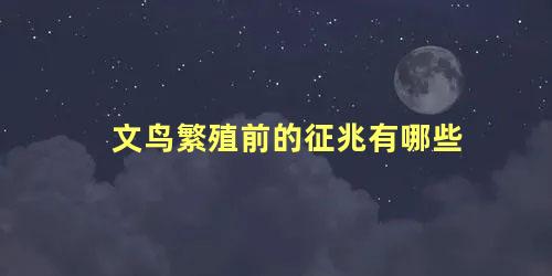 文鸟繁殖前的征兆有哪些