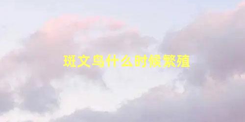 斑文鸟什么时候繁殖