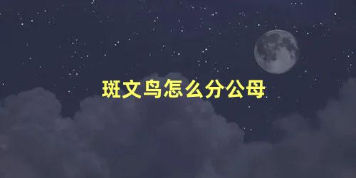 斑文鸟怎么分公母