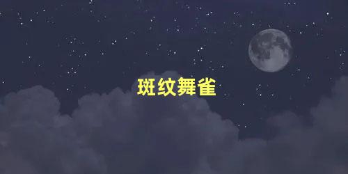 斑纹舞雀