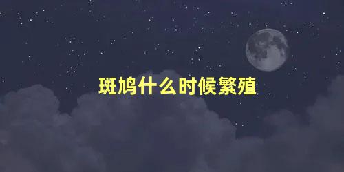 斑鸠什么时候繁殖