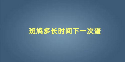 斑鸠多长时间下一次蛋